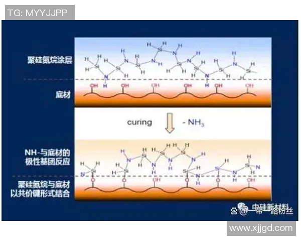 成都篮球队精英赛征程回顾与突破之路的深度解析
