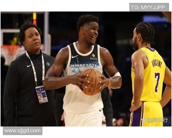 森林狼签下前湖人小前锋,球队实力大增 森林狼签下前湖人小前锋,球队实力大增