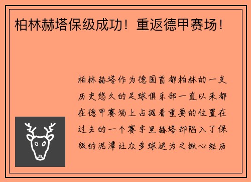 柏林赫塔保级成功！重返德甲赛场！